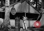 Immagine di 8° Fighter Group Morotai Island Indonesia, 1944, secondo 50 filmato di repertorio 65675068810