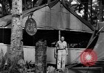 Immagine di 8° Fighter Group Morotai Island Indonesia, 1944, secondo 51 filmato di repertorio 65675068810