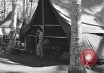 Immagine di 8° Fighter Group Morotai Island Indonesia, 1944, secondo 52 filmato di repertorio 65675068810