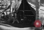 Immagine di 8° Fighter Group Morotai Island Indonesia, 1944, secondo 53 filmato di repertorio 65675068810