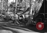 Immagine di 8° Fighter Group Morotai Island Indonesia, 1944, secondo 55 filmato di repertorio 65675068810