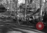 Immagine di 8° Fighter Group Morotai Island Indonesia, 1944, secondo 56 filmato di repertorio 65675068810