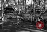 Immagine di 8° Fighter Group Morotai Island Indonesia, 1944, secondo 57 filmato di repertorio 65675068810