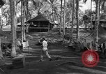 Immagine di 8° Fighter Group Morotai Island Indonesia, 1944, secondo 58 filmato di repertorio 65675068810