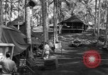 Immagine di 8° Fighter Group Morotai Island Indonesia, 1944, secondo 60 filmato di repertorio 65675068810