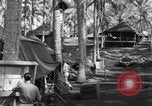 Immagine di 8° Fighter Group Morotai Island Indonesia, 1944, secondo 61 filmato di repertorio 65675068810