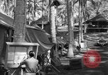 Immagine di 8° Fighter Group Morotai Island Indonesia, 1944, secondo 62 filmato di repertorio 65675068810