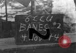 Immagine di 8° Fighter Group Morotai Island Indonesia, 1944, secondo 1 filmato di repertorio 65675068811