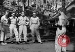Immagine di 8° Fighter Group Morotai Island Indonesia, 1944, secondo 6 filmato di repertorio 65675068811