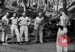 Immagine di 8° Fighter Group Morotai Island Indonesia, 1944, secondo 8 filmato di repertorio 65675068811