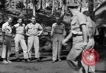Immagine di 8° Fighter Group Morotai Island Indonesia, 1944, secondo 10 filmato di repertorio 65675068811