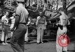Immagine di 8° Fighter Group Morotai Island Indonesia, 1944, secondo 11 filmato di repertorio 65675068811