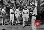 Immagine di 8° Fighter Group Morotai Island Indonesia, 1944, secondo 14 filmato di repertorio 65675068811