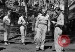 Immagine di 8° Fighter Group Morotai Island Indonesia, 1944, secondo 15 filmato di repertorio 65675068811