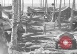 Immagine di 8° Fighter Group Morotai Island Indonesia, 1944, secondo 16 filmato di repertorio 65675068811