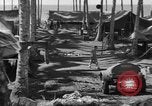 Immagine di 8° Fighter Group Morotai Island Indonesia, 1944, secondo 17 filmato di repertorio 65675068811