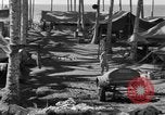 Immagine di 8° Fighter Group Morotai Island Indonesia, 1944, secondo 18 filmato di repertorio 65675068811