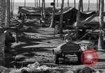 Immagine di 8° Fighter Group Morotai Island Indonesia, 1944, secondo 19 filmato di repertorio 65675068811