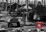 Immagine di 8° Fighter Group Morotai Island Indonesia, 1944, secondo 24 filmato di repertorio 65675068811