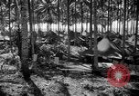 Immagine di 8° Fighter Group Morotai Island Indonesia, 1944, secondo 26 filmato di repertorio 65675068811