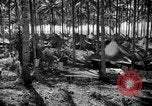 Immagine di 8° Fighter Group Morotai Island Indonesia, 1944, secondo 27 filmato di repertorio 65675068811