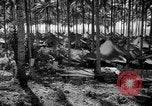 Immagine di 8° Fighter Group Morotai Island Indonesia, 1944, secondo 28 filmato di repertorio 65675068811