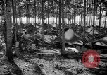 Immagine di 8° Fighter Group Morotai Island Indonesia, 1944, secondo 29 filmato di repertorio 65675068811