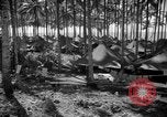 Immagine di 8° Fighter Group Morotai Island Indonesia, 1944, secondo 30 filmato di repertorio 65675068811