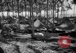 Immagine di 8° Fighter Group Morotai Island Indonesia, 1944, secondo 32 filmato di repertorio 65675068811