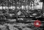 Immagine di 8° Fighter Group Morotai Island Indonesia, 1944, secondo 33 filmato di repertorio 65675068811