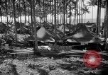 Immagine di 8° Fighter Group Morotai Island Indonesia, 1944, secondo 34 filmato di repertorio 65675068811