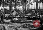 Immagine di 8° Fighter Group Morotai Island Indonesia, 1944, secondo 35 filmato di repertorio 65675068811