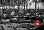 Immagine di 8° Fighter Group Morotai Island Indonesia, 1944, secondo 36 filmato di repertorio 65675068811