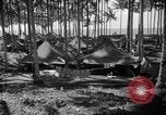 Immagine di 8° Fighter Group Morotai Island Indonesia, 1944, secondo 37 filmato di repertorio 65675068811