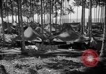 Immagine di 8° Fighter Group Morotai Island Indonesia, 1944, secondo 38 filmato di repertorio 65675068811