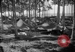 Immagine di 8° Fighter Group Morotai Island Indonesia, 1944, secondo 39 filmato di repertorio 65675068811