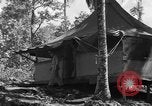 Immagine di 8° Fighter Group Morotai Island Indonesia, 1944, secondo 41 filmato di repertorio 65675068811