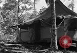 Immagine di 8° Fighter Group Morotai Island Indonesia, 1944, secondo 42 filmato di repertorio 65675068811