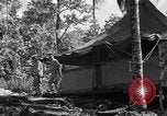 Immagine di 8° Fighter Group Morotai Island Indonesia, 1944, secondo 43 filmato di repertorio 65675068811