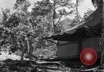 Immagine di 8° Fighter Group Morotai Island Indonesia, 1944, secondo 44 filmato di repertorio 65675068811