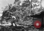Immagine di 8° Fighter Group Morotai Island Indonesia, 1944, secondo 45 filmato di repertorio 65675068811