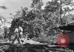 Immagine di 8° Fighter Group Morotai Island Indonesia, 1944, secondo 46 filmato di repertorio 65675068811