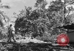 Immagine di 8° Fighter Group Morotai Island Indonesia, 1944, secondo 47 filmato di repertorio 65675068811