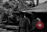 Immagine di 8° Fighter Group Morotai Island Indonesia, 1944, secondo 50 filmato di repertorio 65675068811