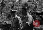 Immagine di 8° Fighter Group Morotai Island Indonesia, 1944, secondo 51 filmato di repertorio 65675068811