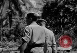 Immagine di 8° Fighter Group Morotai Island Indonesia, 1944, secondo 53 filmato di repertorio 65675068811