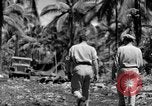Immagine di 8° Fighter Group Morotai Island Indonesia, 1944, secondo 56 filmato di repertorio 65675068811