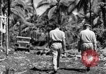 Immagine di 8° Fighter Group Morotai Island Indonesia, 1944, secondo 57 filmato di repertorio 65675068811