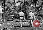 Immagine di 8° Fighter Group Morotai Island Indonesia, 1944, secondo 58 filmato di repertorio 65675068811