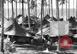 Immagine di 8° Fighter Group Morotai Island Indonesia, 1944, secondo 59 filmato di repertorio 65675068811